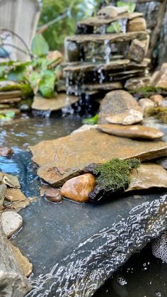 there are many rocks and plants in the water