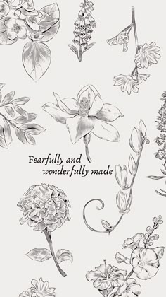 an image of flowers and plants drawn in pencil on paper with the words, fearlessly and wonderfully made