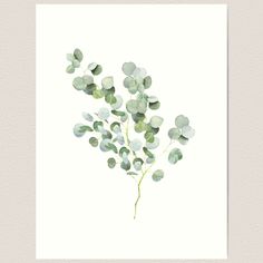 a watercolor painting of eucalyptus leaves on white paper