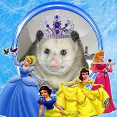 an animal with princesses around it's face and the caption that says,