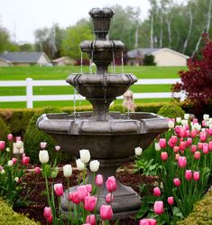 a water fountain surrounded by pink and white tulips