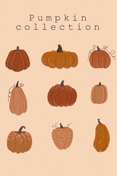 pumpkins in different colors and sizes on a beige background with the words pumpkin collection