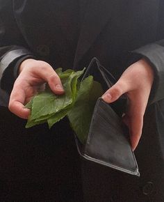 a person in a black suit holding a green leaf