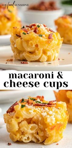 macaroni and cheese cups on a white plate with the title in the middle