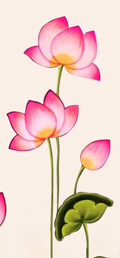 three pink flowers with green leaves in front of a white background and the words lotus written on it