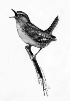 a black and white photo of a bird with it's mouth open on a branch