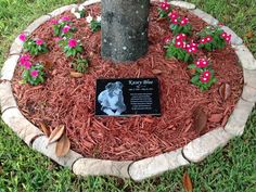 a plaque is placed in the middle of a flower bed with flowers around it and a tree