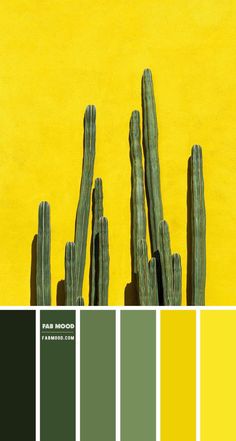 the color scheme is yellow and green, with cactus silhouettes in front of it