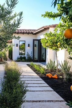 an orange tree in front of a white house with black shutters and stone walkway