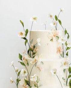 a three tiered cake with white flowers on top and green leaves around the edges