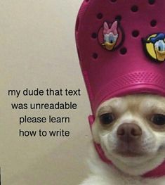 a small dog wearing a pink hat with emoticions on it's head