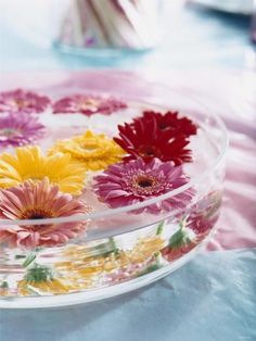 colorful flowers floating in a bowl on a table