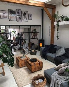 a living room filled with furniture and lots of plants