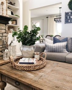 a living room filled with furniture and a potted plant on top of a coffee table