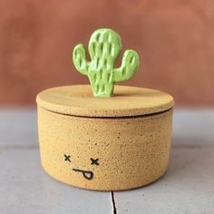 a small pot with a green cactus in it