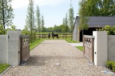 a horse is standing in the distance behind two gates that lead to an enclosed area