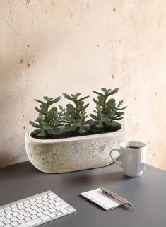 a desk with a keyboard, coffee cup and succulents in a planter