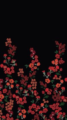 red flowers on black background with space for text