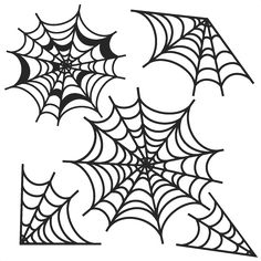 a spider web is shown in black and white