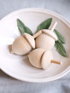 three pieces of wood sitting on top of a white plate next to green leafy leaves