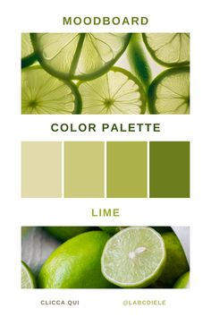 the color palette for mood board with limes