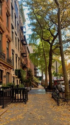 an empty street lined with tall buildings and trees in the fall season, during the day