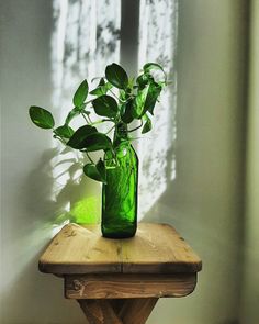 a green vase with some plants in it sitting on a wooden table next to a window