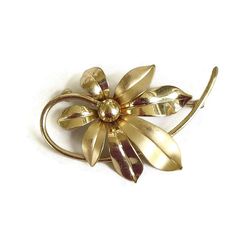 "This is a really nice Smooth and Satin Gold Tone Flower Brooch Vintage Mid-Century!   This piece measures 2 1/4\" wide by 1 1/2\" high and has lots of pretty detail and dimension.  Can be worn in almost any direction, for just the right look.  Simple, yet elegant and a great piece to wear!  This piece is in Very Good vintage condition! Please take a look at the other wonderful vintage jewelry in my shop! E-4" Porcelain Earrings, Cameo Brooch, Brooch Vintage, Button Earrings, Gold Brooches, Colorful Bracelets, Gold Flowers, Flower Pendant, Flower Brooch