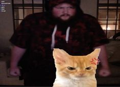 an orange cat sitting in front of a man