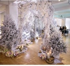 a room filled with lots of white trees