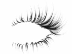 an eye with long lashes on white background