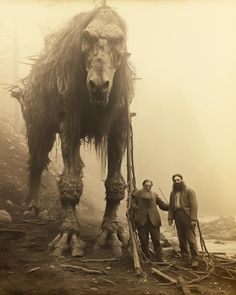 two men are standing next to a large animal