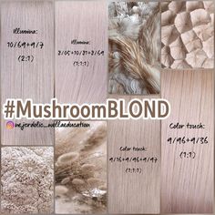 Wella Color Formulas, Mushroom Blonde, Beige Blonde Hair Color, Beige Blonde Hair, Colour Touch Wella, Hair Foils