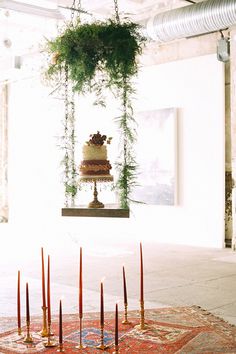 a cake on a table with candles in front of it and plants hanging from the ceiling