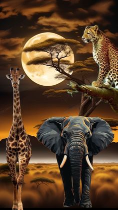 two giraffes, an elephant and a leopard are standing in front of a full moon