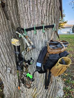 a tree with many items hanging on it