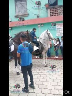 a man riding on the back of a white horse in front of a blue building