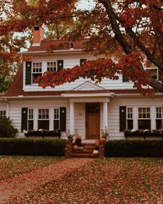 a white house with red leaves on the ground