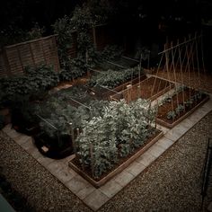 an aerial view of a garden at night