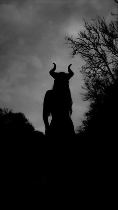 the silhouette of a demon with horns and long hair is shown against a cloudy sky