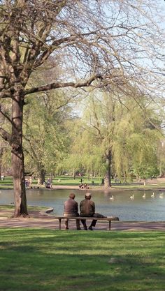 two people are sitting on a bench in the park by the water and ducks swimming