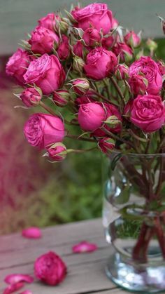 a vase filled with pink roses on top of a wooden table next to petals in the water