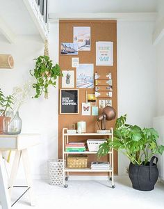 a white room with plants and pictures on the wall next to a ladder in front of it