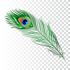 a peacock feather on a transparent background