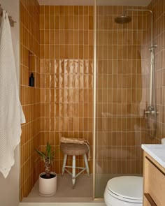 a bathroom with a toilet, shower and tiled walls