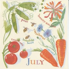 an image of a postcard with various fruits and vegetables on it that say july