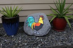 three potted plants sitting next to each other in front of a rock with a rooster painted on it