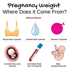 the different types of baby products are shown in this diagram, which includes an infant's stomach and utensils