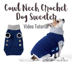 a small dog wearing a sweater with buttons on it's chest and the words cow neck crochet dog sweater written below