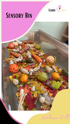 a close up of a table with shells and other things on it, including leaves